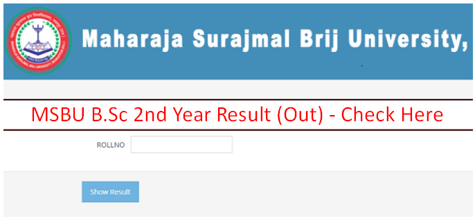 MSBU B.Sc 2nd Year Result 2024 रिजल्ट जारी BSc Part 2 (Link), Brij ...