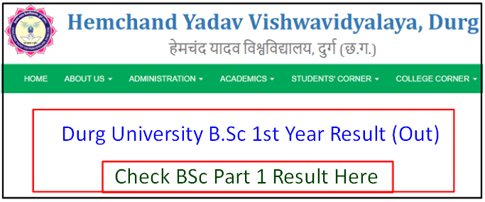 Durg University B.Sc 1st Year Result 2024 रिजल्ट जारी Link, Hemchand ...